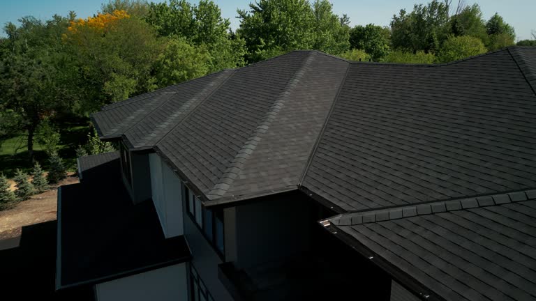 Best Roof Moss and Algae Removal  in Daleville, IN