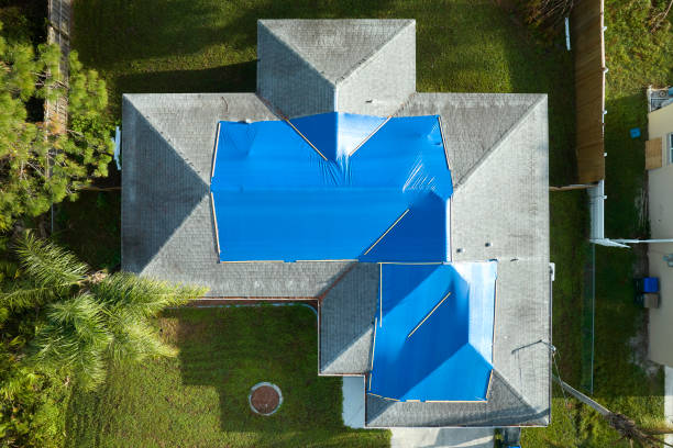 Best Chimney Flashing Repair  in Daleville, IN