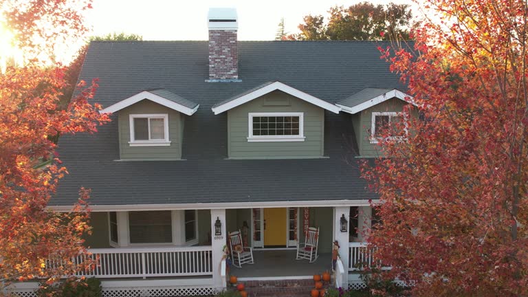 Best Skylight Installation and Repair  in Daleville, IN