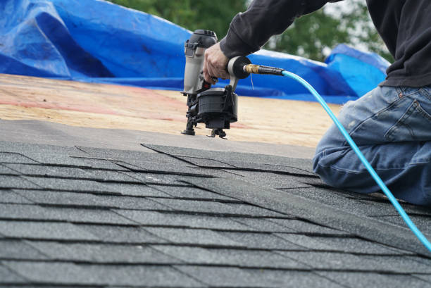 Best Gutter Installation and Repair  in Daleville, IN