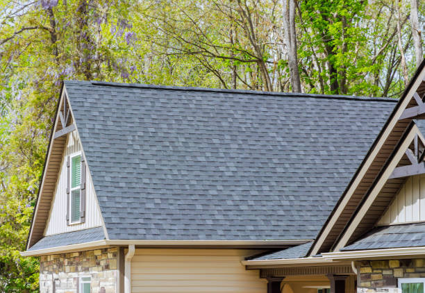 Best Gutter Installation and Repair  in Daleville, IN