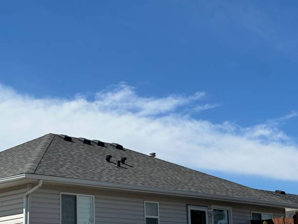Best Roof Installation  in Daleville, IN